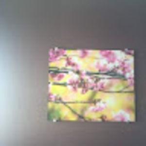 Meet your Posher, Evelyn